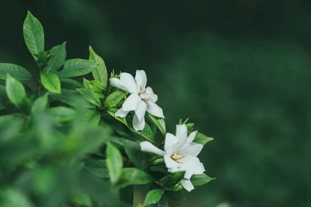 ���������ת������