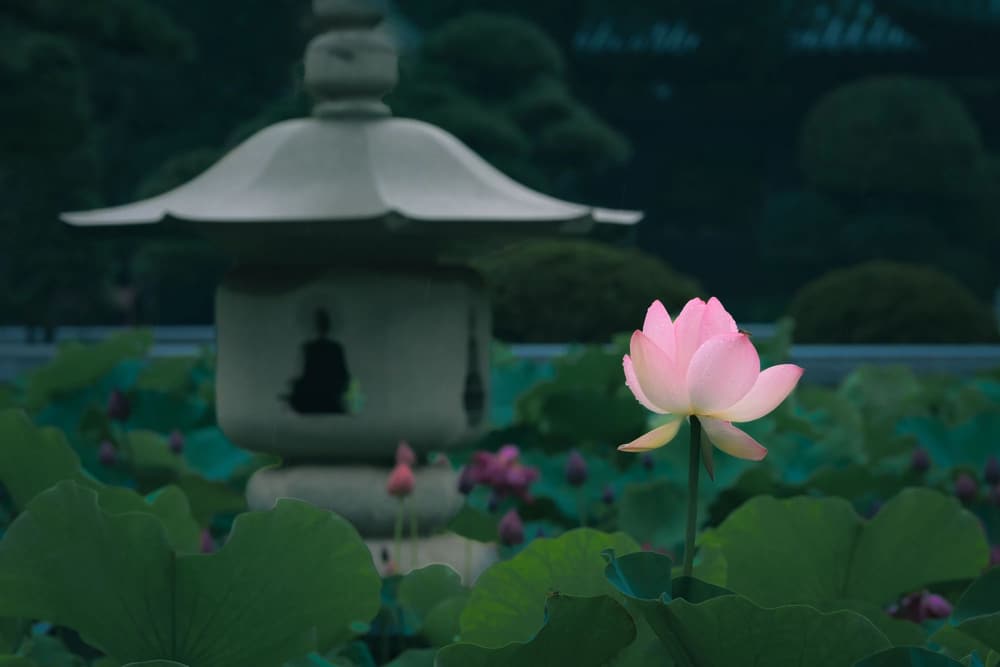 ��μ��������ǡ��õ��ķ��������