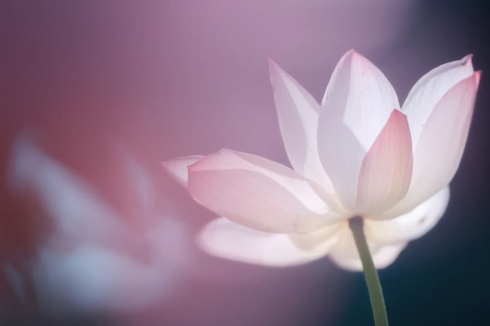 �����������֮��Ҫ�����