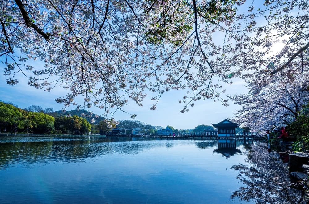 ��̨�ڻ����ܹ�֮����