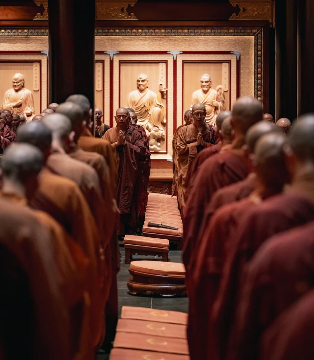 ��Ȼʮ������������ǵ������������