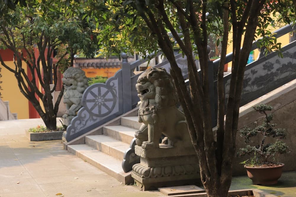 Ϊʲô����������լ������֪