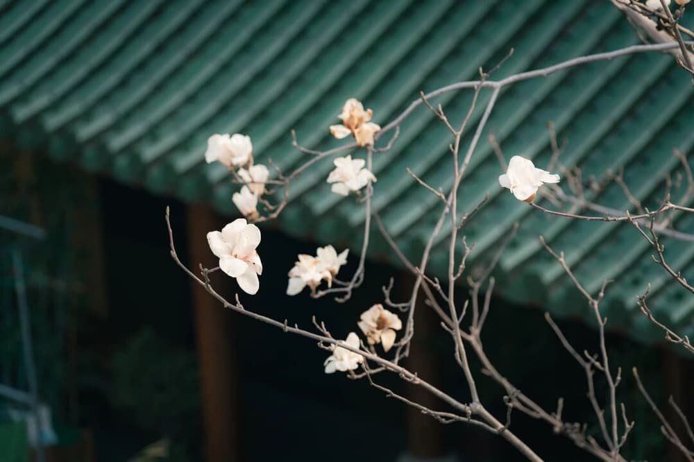 ��è��Ⱥ���Ʃ��