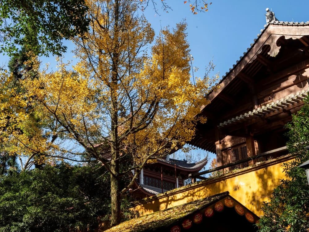 ����Ħڭ����������