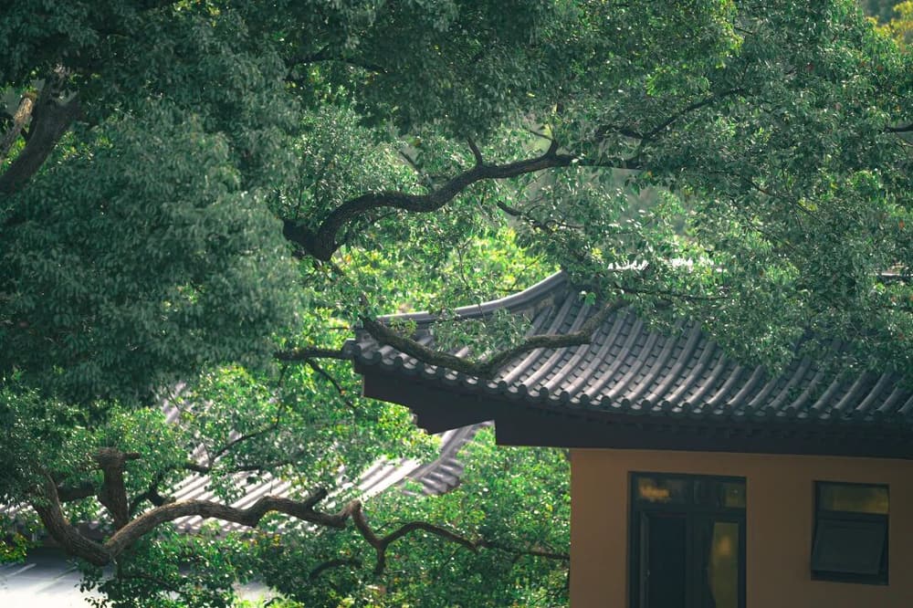 ������۾�����