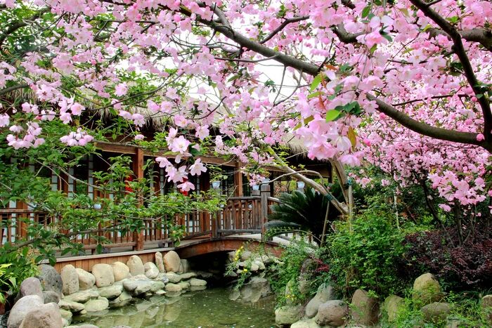 Ե���Կո�һ�������кβ�ͬ