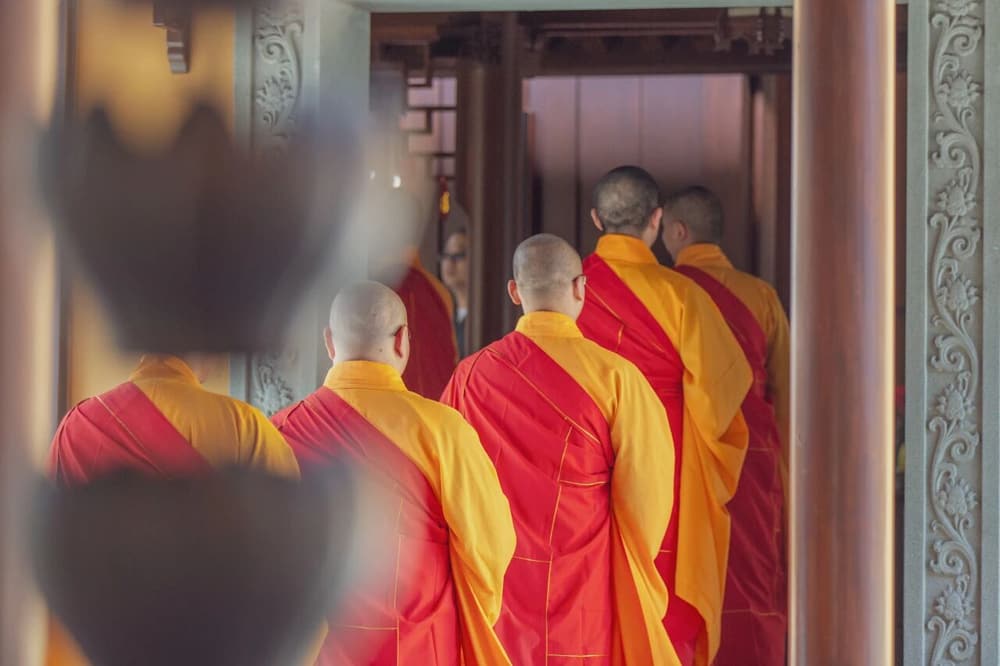 �������Ź���Ϊʲô�������мӳ�����