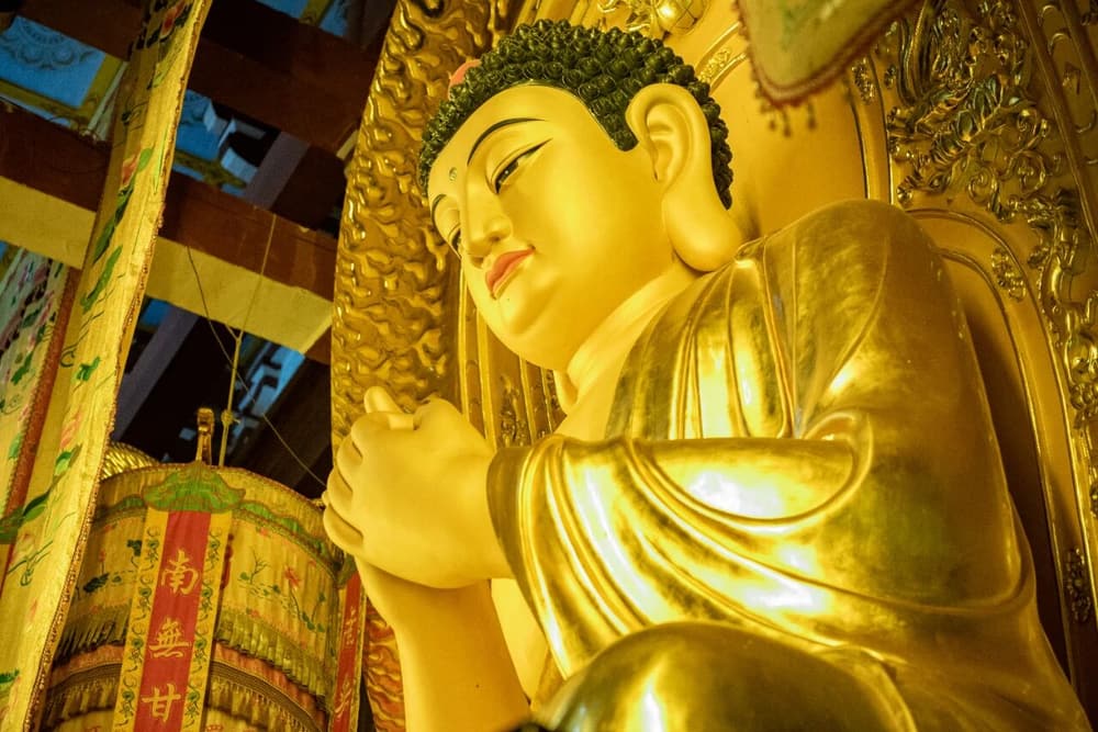 �ƻ�����绤�Ͳ�