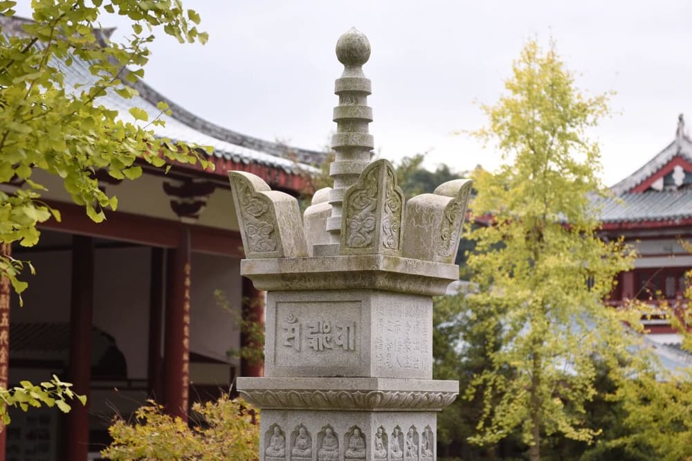 ���������ϰ�����Ҫ�������ϻ�������