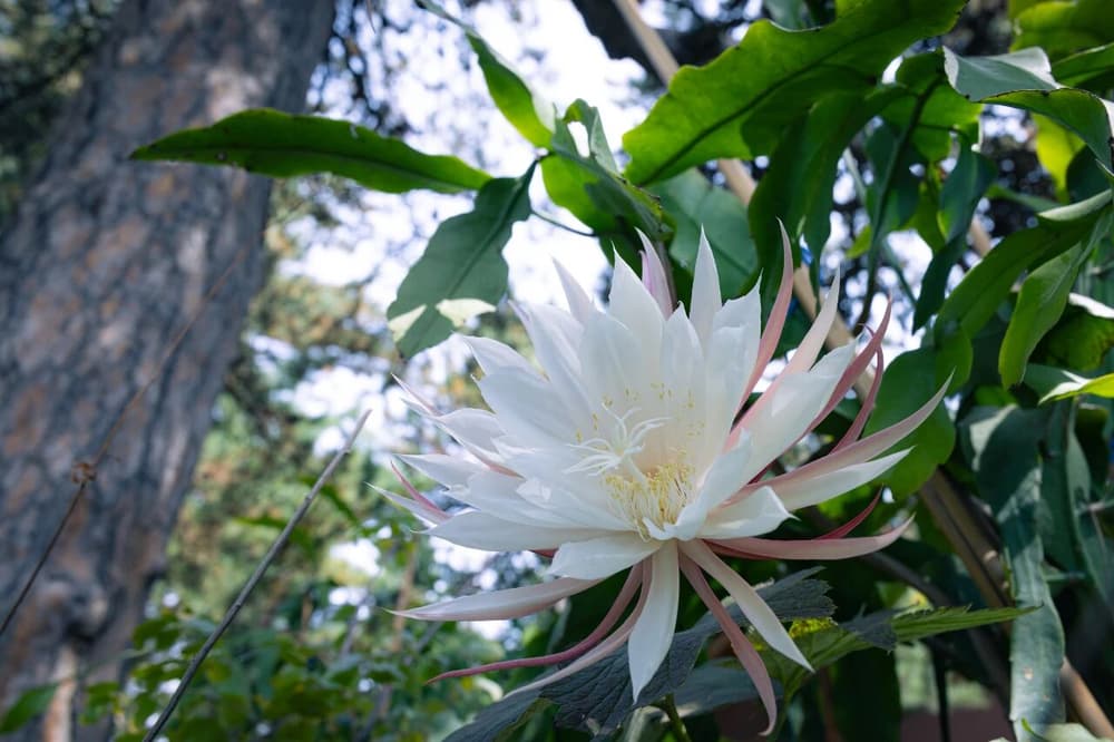 ��һ���ϼ�����λ��ʦ��������ӡ�����