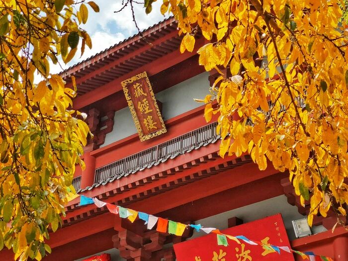 ���ӽ���Ҫ�������������Ե