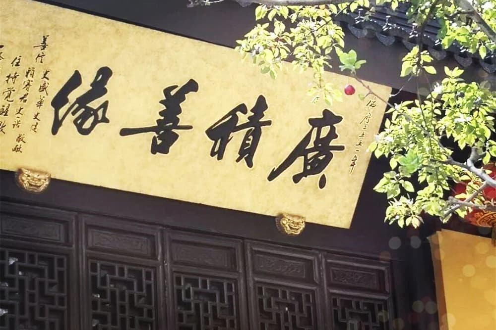 �������г�����Ϻ��·�ߵ�è������Ϊ��������Щ���