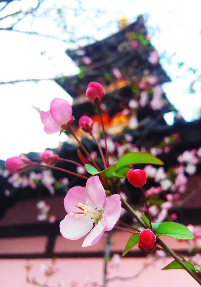 Ϊʲô������΢������Ĺ�ʧ�������