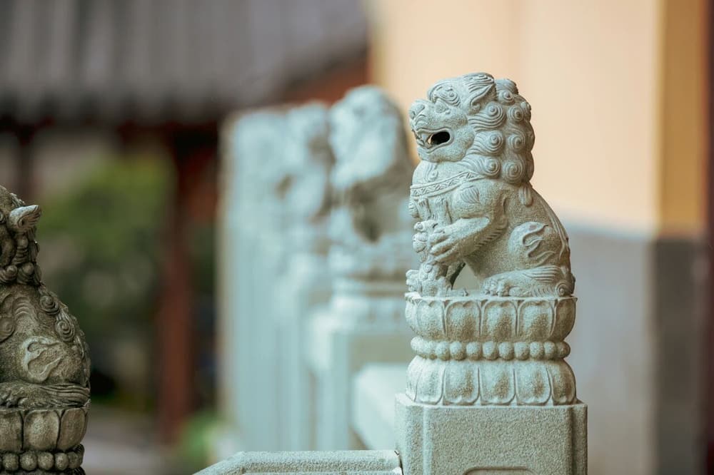 慈善搞起来后,反而把佛法给荒废掉了