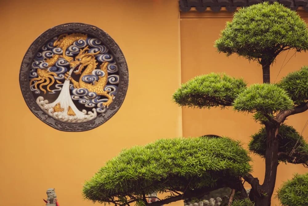 Զ����ʮ�ֲ���������