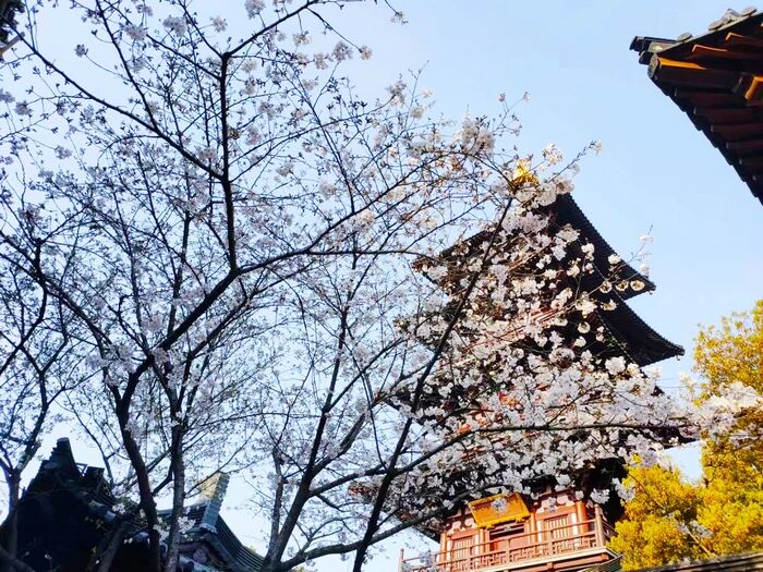 ɥ�Ӹ��õĹ���