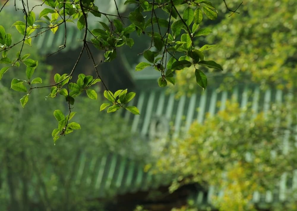 ���ش�ʦ������ʡ��׻�ע��