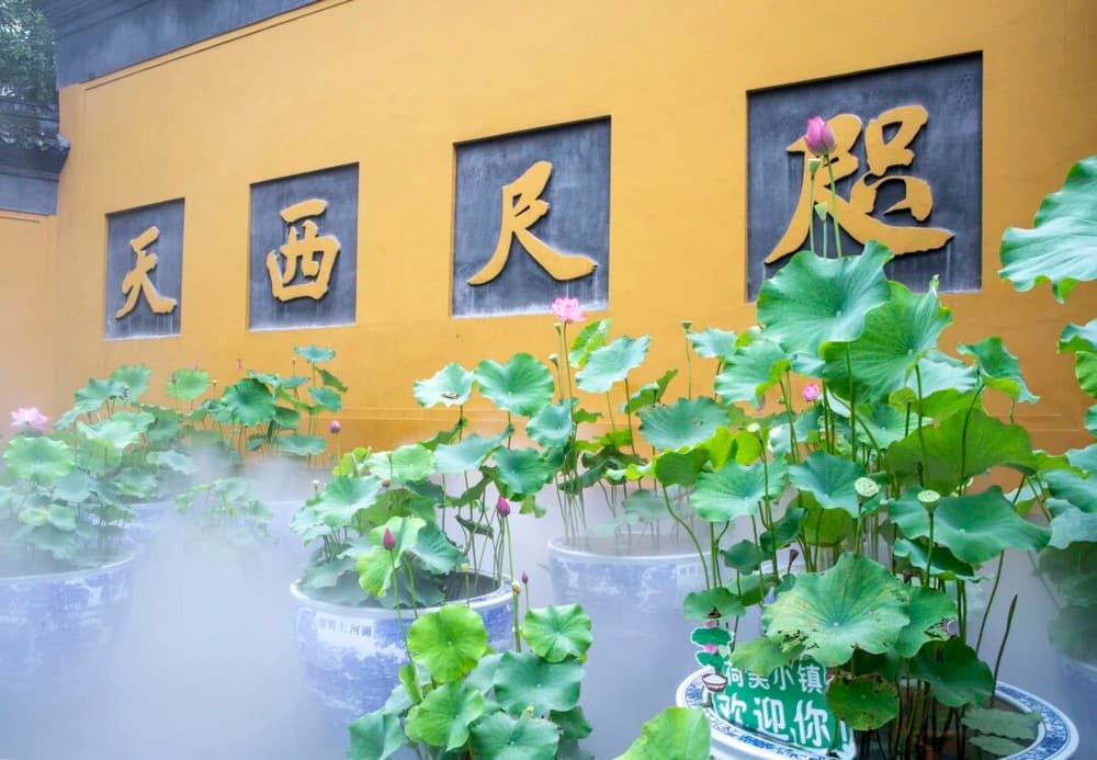 为何说极乐世界才是清净世界