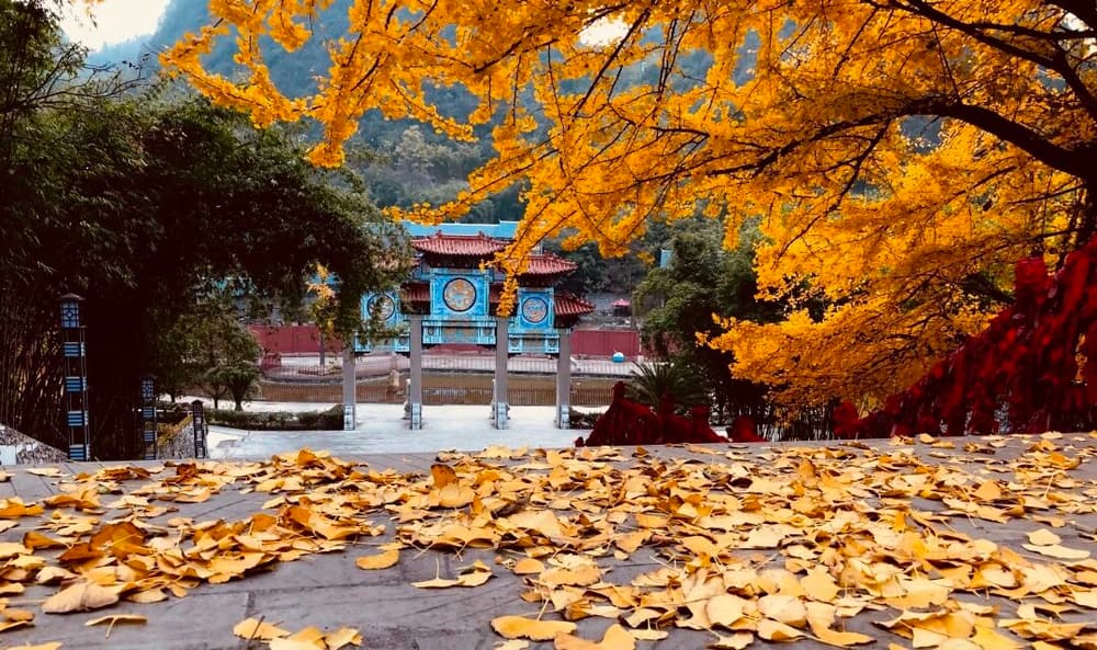 ���ش�ʦ���񴰶��ʡ��׻�ע��