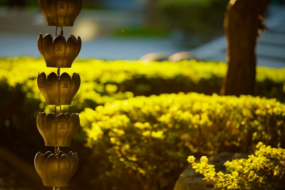 ��ı��֮�Ʋ�