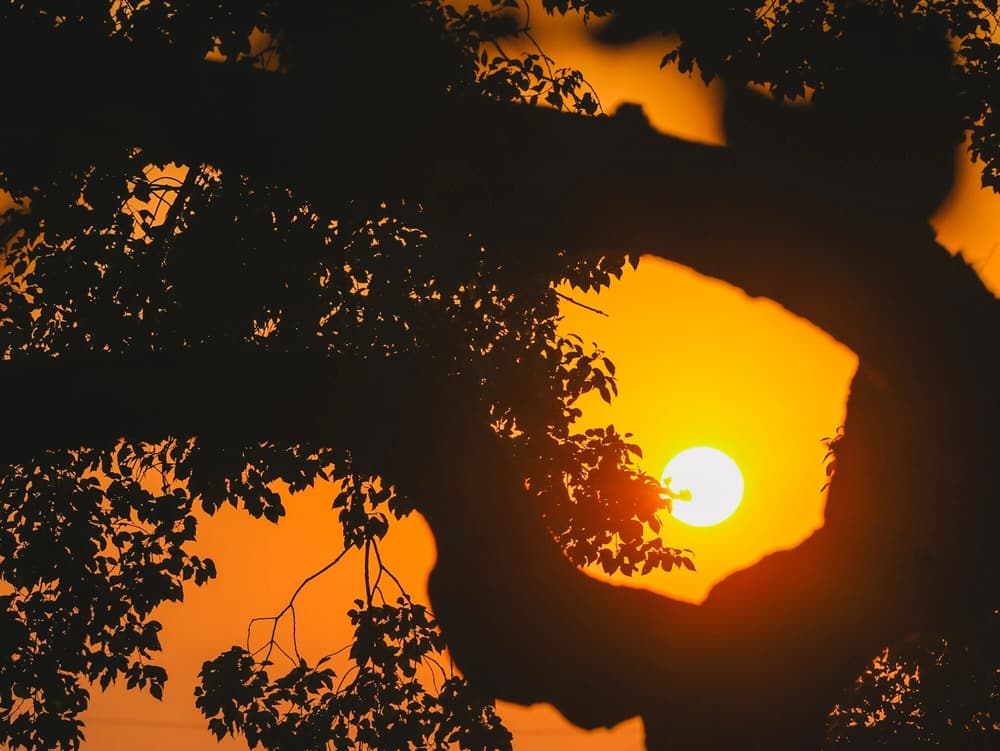 �������ĵ����εڡ��������