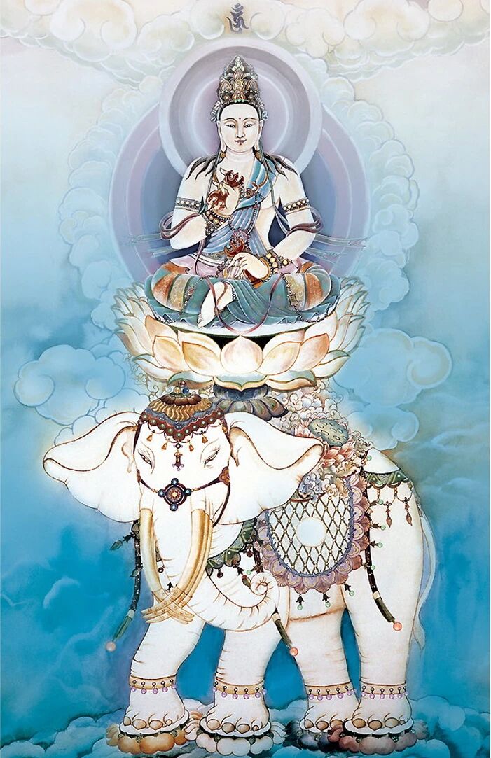 �򻤳�����������������ʤ�Ĺ���