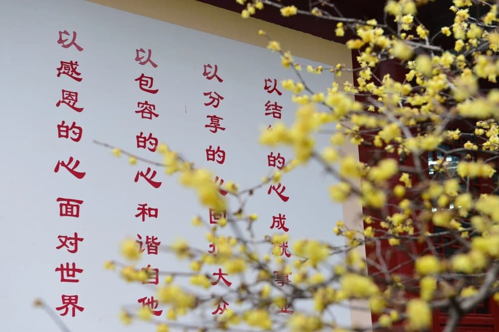 在选择善知识的问题上,谁的名声大跟谁学,这样对吗