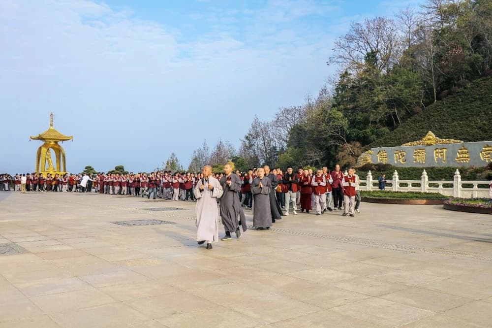 娑婆世界的的苦,能让我们把往生的愿发出去
