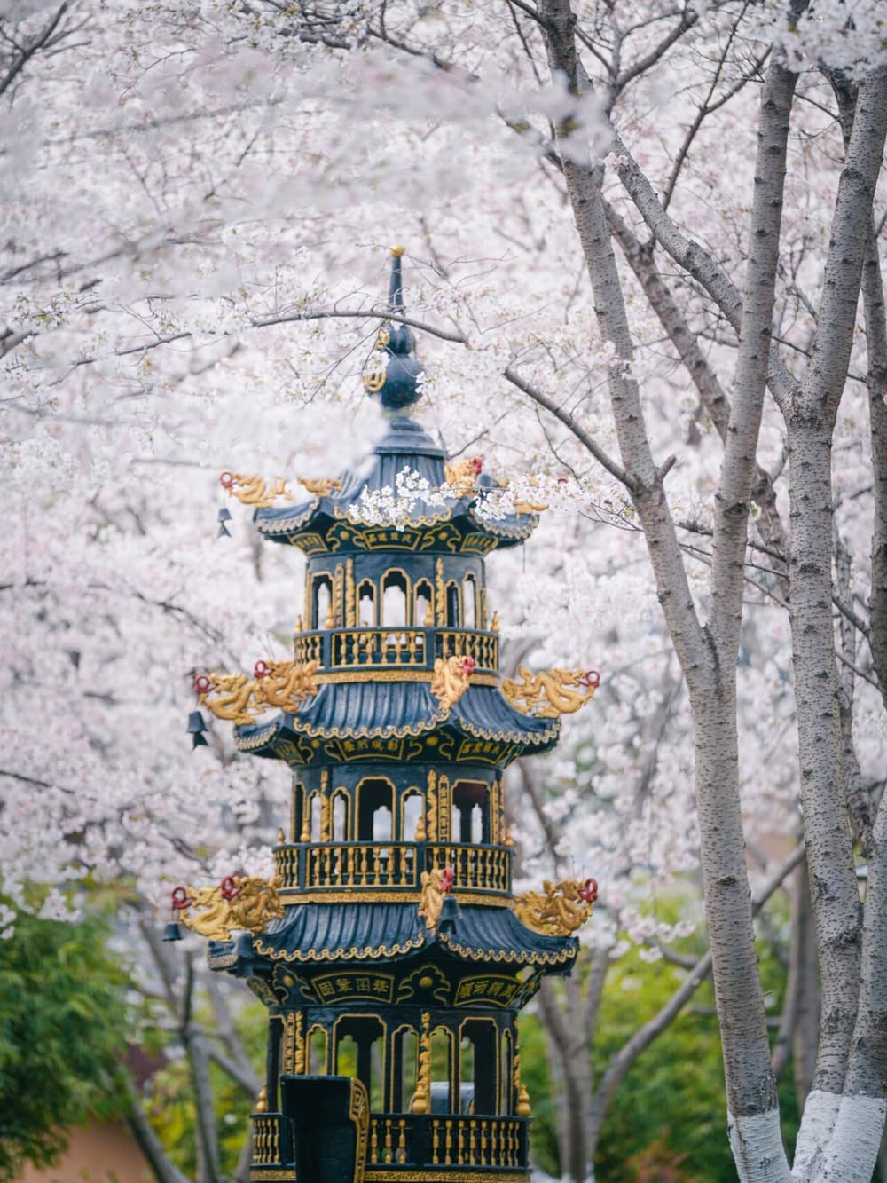 断除大妄语