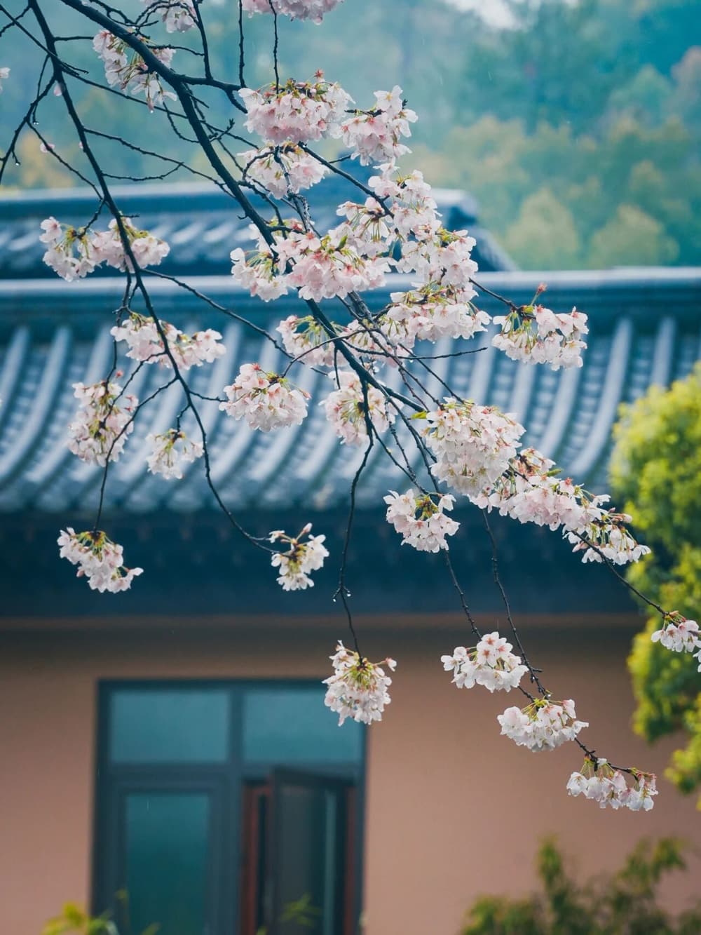 这六种人,不能为他宣说《法华经》